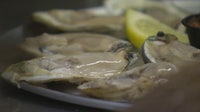 3 Floridians among those ill after eating raw oysters amid national salmonella outbreak