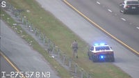 Pit bull found wandering on I-275 median in Tampa