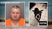 Pinellas County animal cruelty case behind new state law heads to appeals court