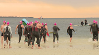 Swimmers honor fallen Navy SEALs and their families at annual Tampa Bay Frogman Swim