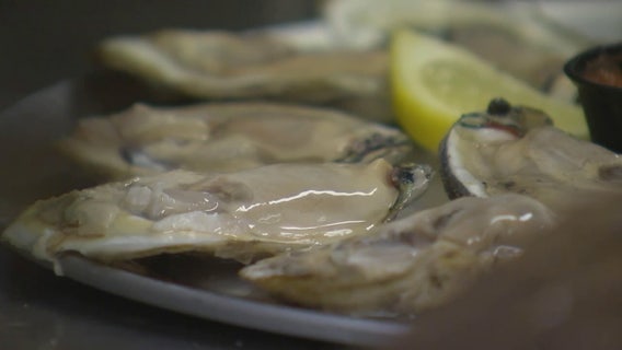 3 Floridians among those ill after eating raw oysters amid national salmonella outbreak