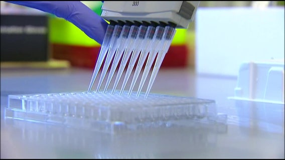 Research shows that hormone replacement therapy can help reduce brain inflammation, diseases