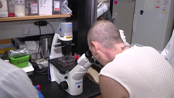 Advocates head to Tallahassee to push for continued cancer funding