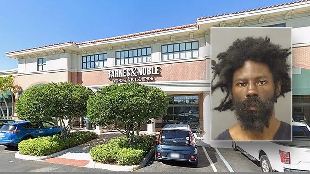 Homeless drifter accused of killing Barnes & Noble Christmas shopper blamed ‘fight or flight’ outburst: report