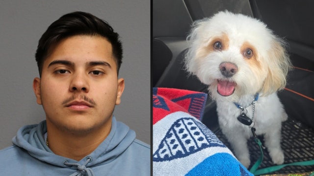 Former Bartow police officer accused of poisoning his girlfriend's Maltese poodle