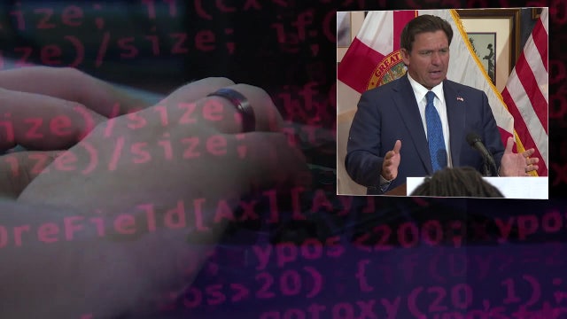 Governor DeSantis doesn't want 'consumers footing the bill for the cost of power-intensive data centers'