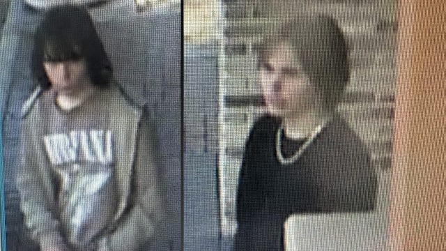 Palmetto park bathrooms set on fire, police searching for juvenile suspects