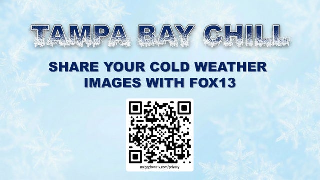 Tampa cold weather photo gallery