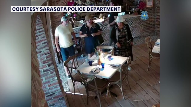 ‘Career criminal’ arrested for pick-pocketing and credit card fraud throughout Florida: Sarasota police