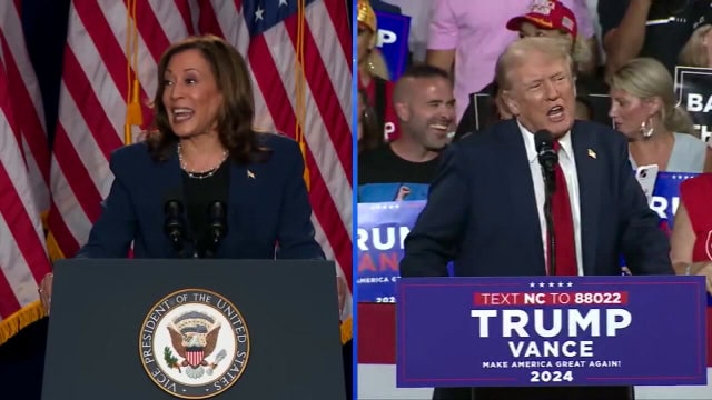 Why you can't always trust the political polls — and what to watch in 2026