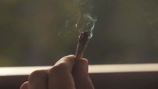 Recreational marijuana could return to Florida ballot in 2026