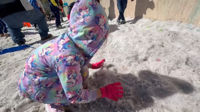St. Pete elementary school hosts 'snow day' for hands-on learning experience