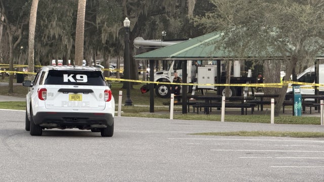 1 killed while rappelling down tree at Sims Park in New Port Richey: Police