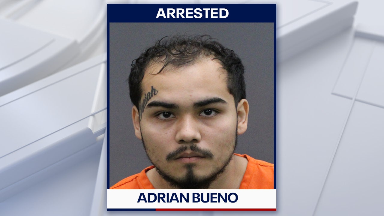 Dover felon faces 31 charges after deputies seize guns, drugs and weapon conversion devices: HCSO