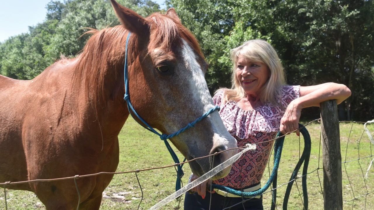 Manatee County mourns Commissioner Carol Ann Felts after sudden passing: 'We lost an advocate'