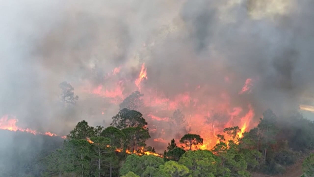 Florida wildfire dangers persist — Here's how to reduce your risk