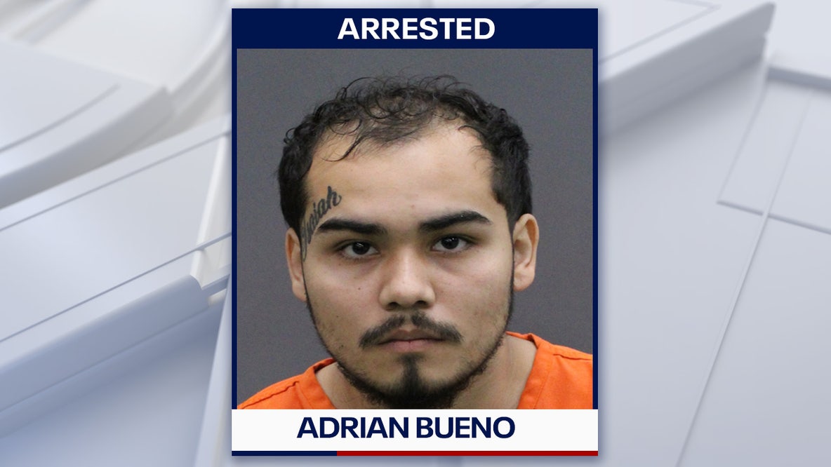 Dover felon faces 31 charges after deputies seize guns, drugs and weapon conversion devices: HCSO