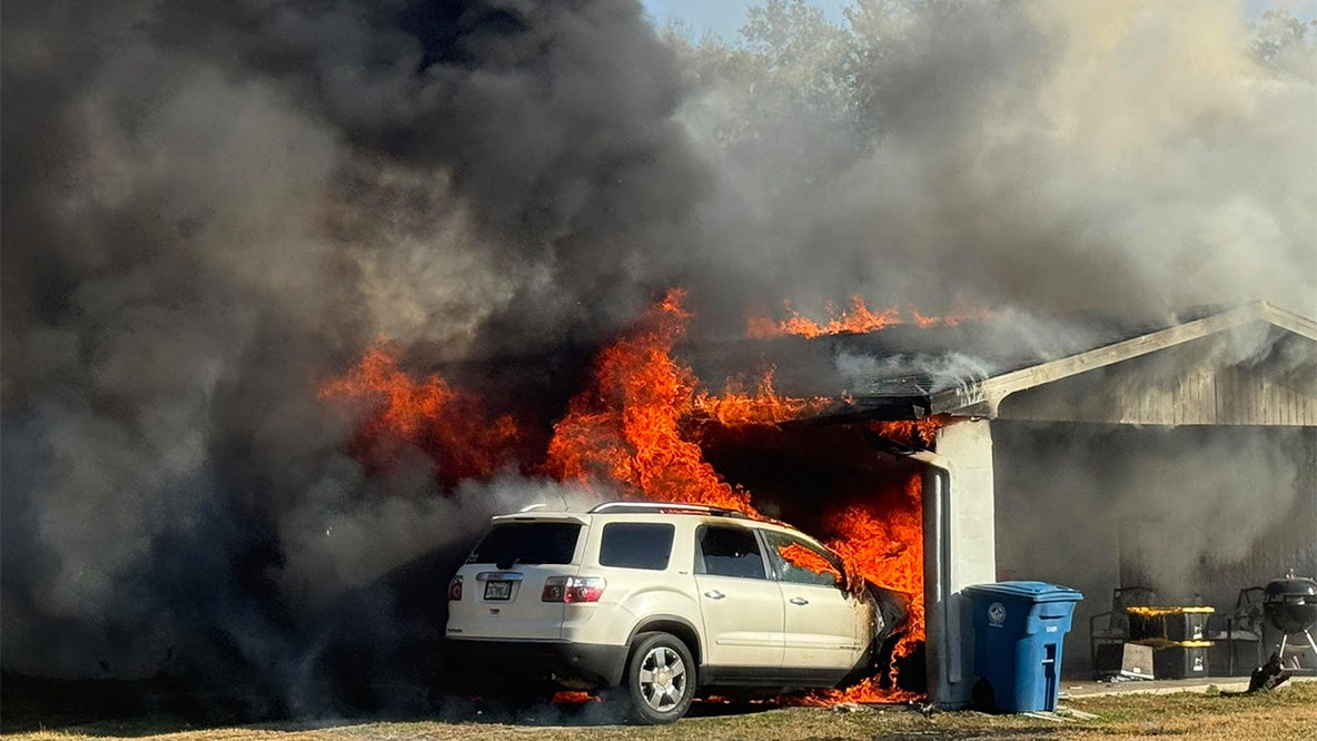 Pets rescued after vehicle fire ignites, destroys Brooksville home: HCFR