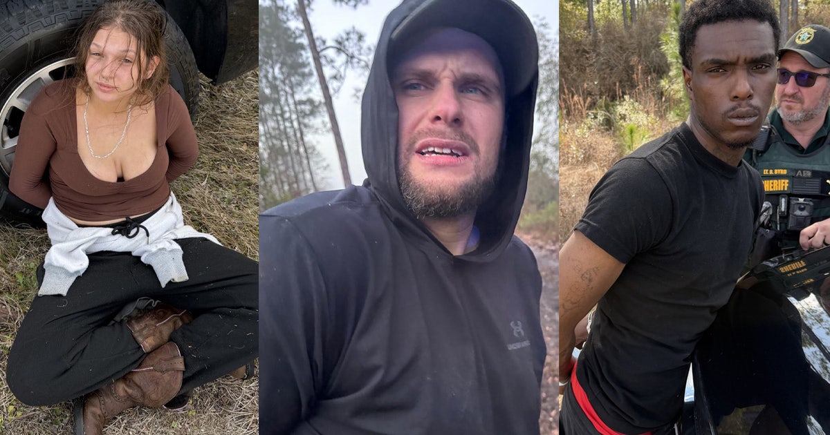 Florida homeowner confronts armed intruders, chases them off the road as they tried to escape: BCSO