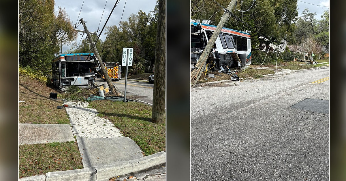 Bus driver falls asleep at wheel, hits utility pole in Brooksville: HCSO