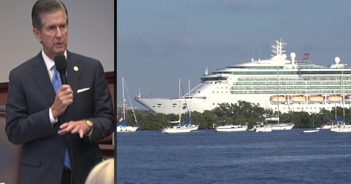 Florida lawmaker steps in to halt controversial Manatee cruise terminal