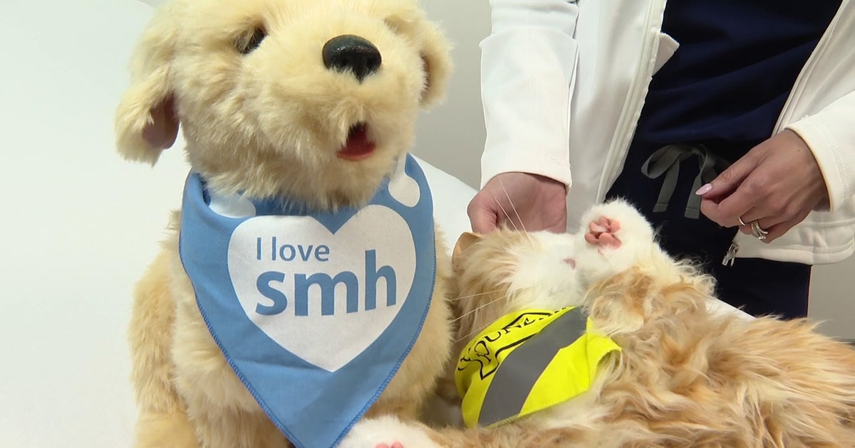 Robotic pets show positive outcomes in new dementia care clinical study through Sarasota Memorial Hospital