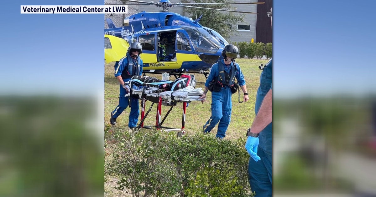 Florida's first injured K9 air medical transport program launched by Tampa General Aeromed