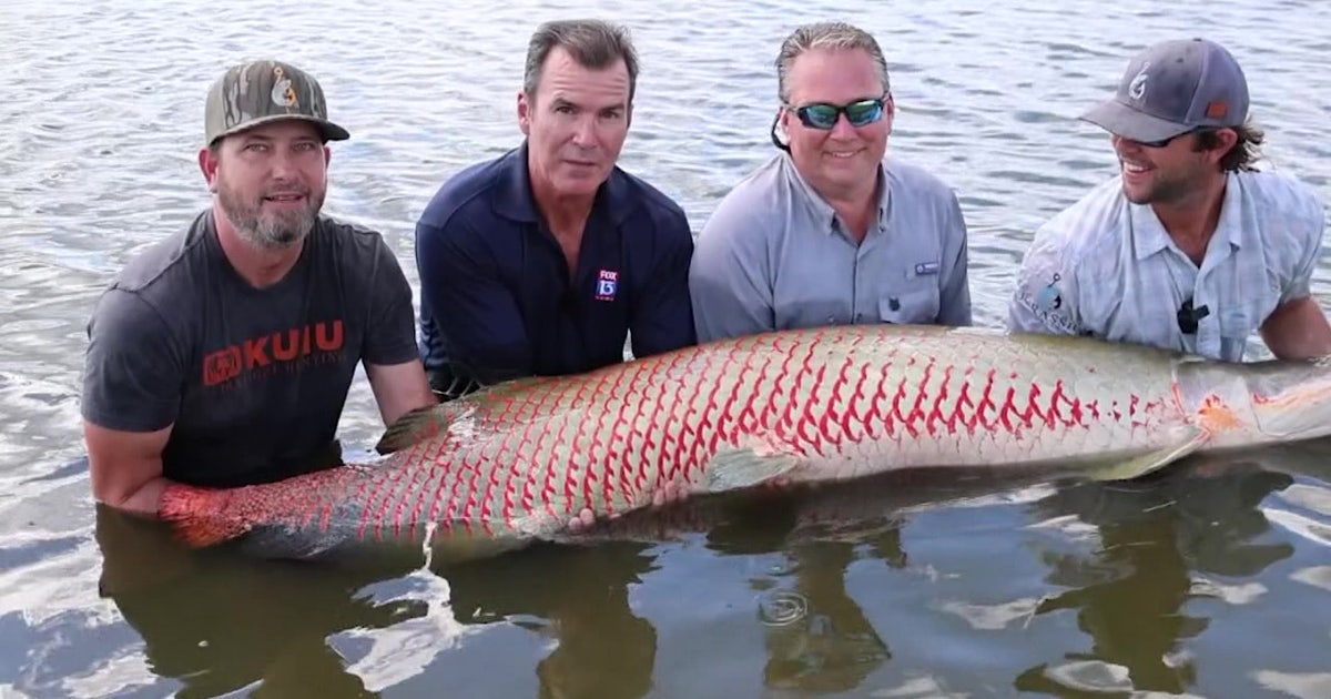 Real-life Jurassic Park: Amazonian ‘river monsters’ now in Florida