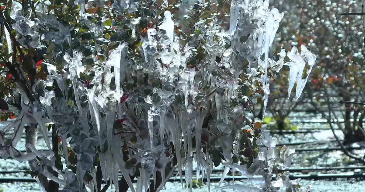 Hillsborough farmers’ crop freeze protection causing dry wells but levels are expected to rebound