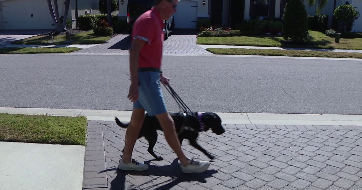 Mix of art and science matches Dogs Inc. guide dogs with their owners