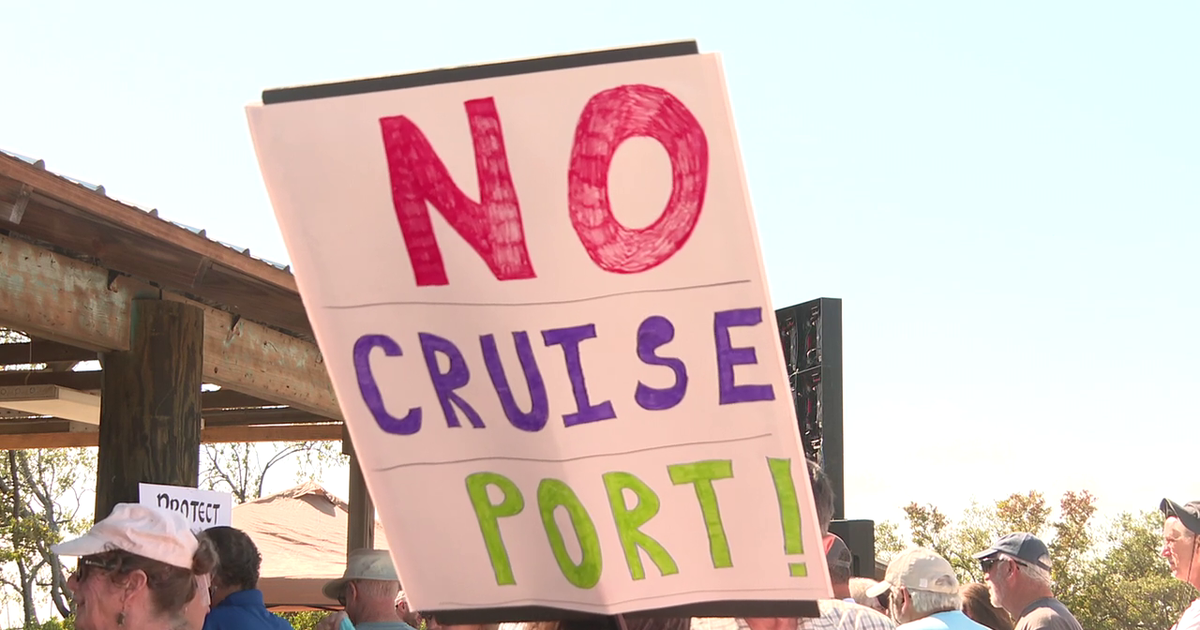 Opposition grows over proposed cruise terminal in Manatee County as new task force rallies residents