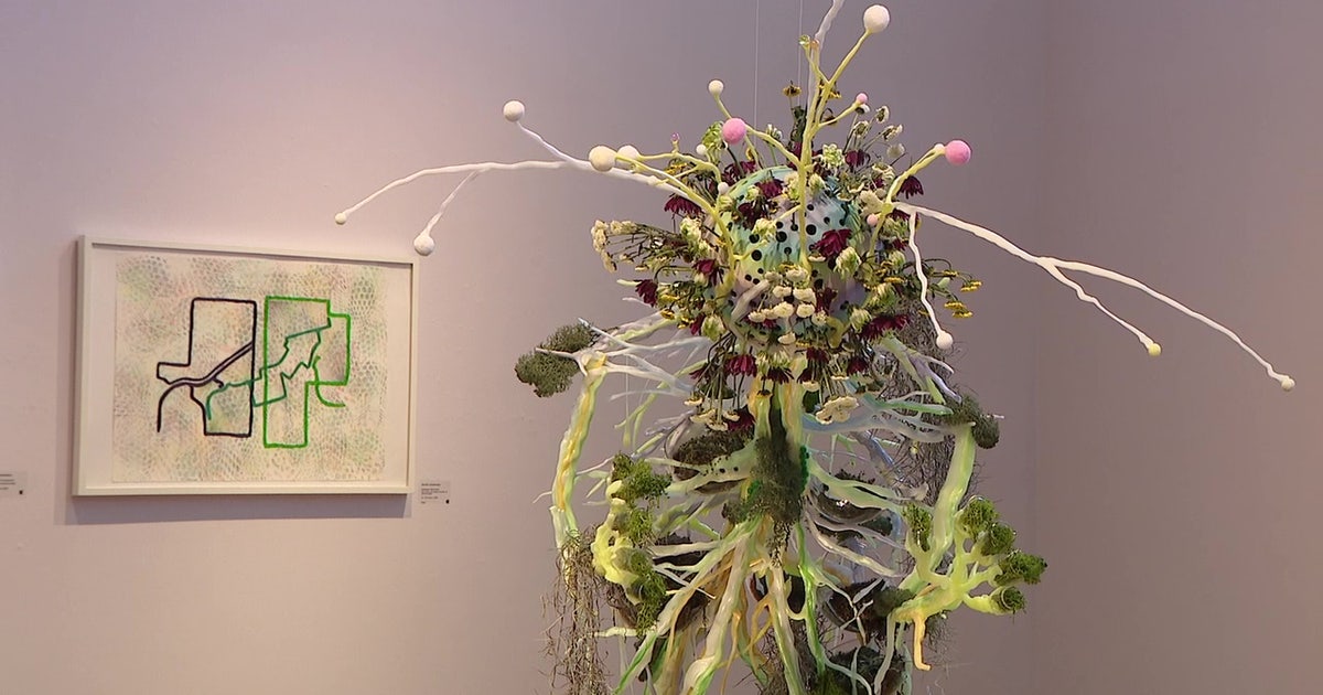 'Low Tide / High Root' exhibit highlights cultural balance for Asian Americans living in the US