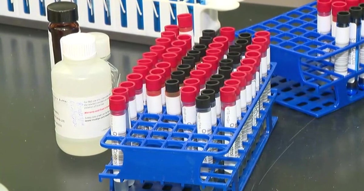 Genetic Genealogy Aids Tampa Bay Cases, Considered in Guthrie Search - technology news from FOX 13 Tampa Bay