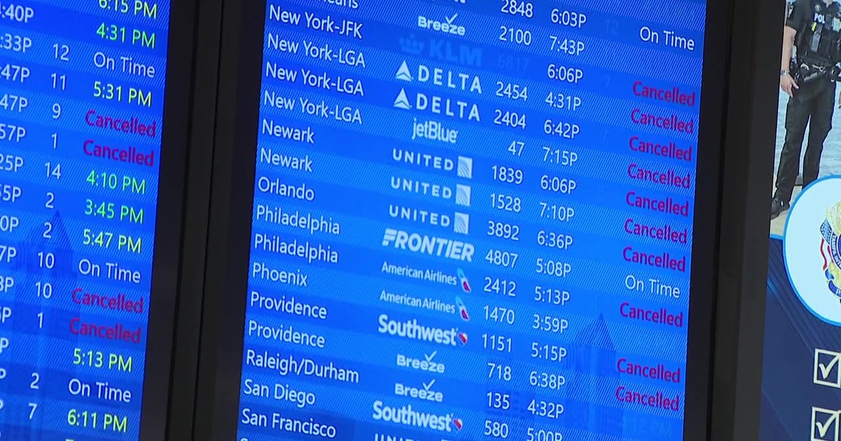 Historic Northeast blizzard triggers 100+ cancellations at TPA: What travelers need to know