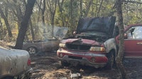 Hernando County brush fire destroys 2 vehicles, damages several more: HCFR