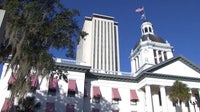 Florida bill that would allow groups to be declared ‘domestic terrorists’ garners opposition from activists