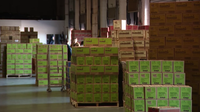 Tampa warehouse gears up for Girl Scout cookie season
