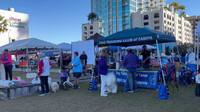 Tampa Bay's Bark in the Park event celebrates 49 years of helping animals in need