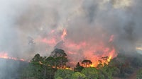 Florida wildfire dangers persist — Here's how to reduce your risk