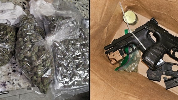 Hillsborough deputies seize firearms and 3 pounds of marijuana: FDC