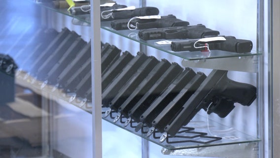 Parkland shooting: Battle over Florida gun laws continues eight years after 17 killed