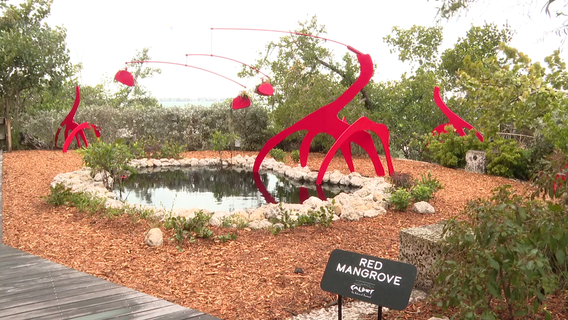 Sarasota's Marie Selby Gardens pairs artwork with nature in latest exhibit