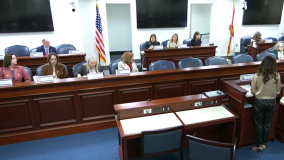 Florida lawmakers consider arming staff on college campuses under school safety bill