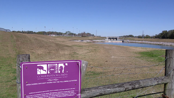 Severe drought conditions prompt a 'Stage 2 Drought Warning' for Tampa Bay area