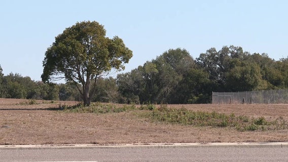 Residents concerned about flooding pushback against building new Polk County government center in Kathleen