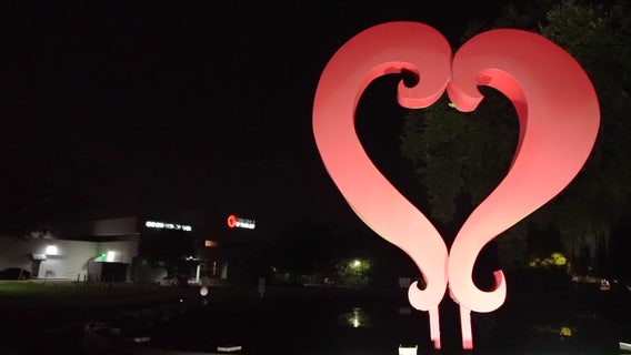 '211 Day' shines light on crisis help available across Tampa Bay