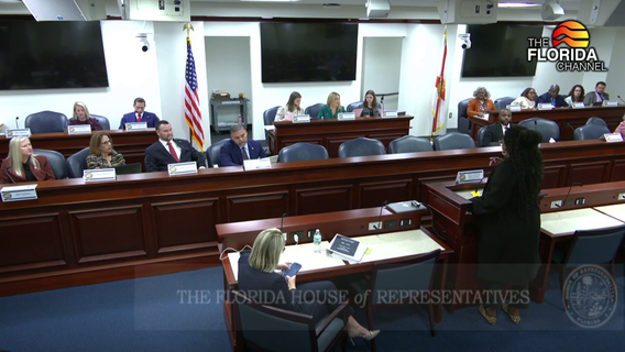 Florida House advances terrorist group designation bill, activists call it attack on free speech