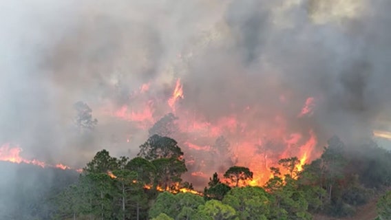 Florida wildfire dangers persist — Here's how to reduce your risk