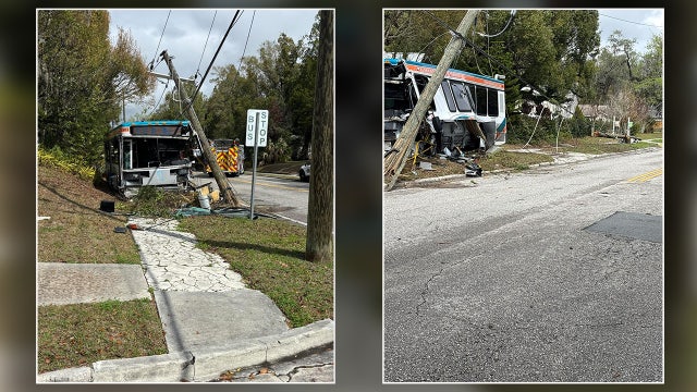 Bus driver falls asleep at wheel, hits utility pole in Brooksville: HCSO