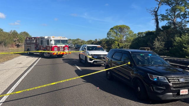 Sarasota man killed on I-75 after stepping in front of semi-truck: FHP